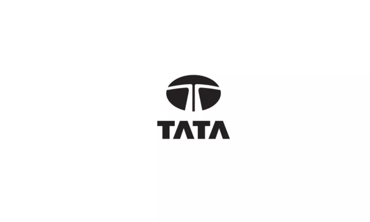 tata group plans to make batter company