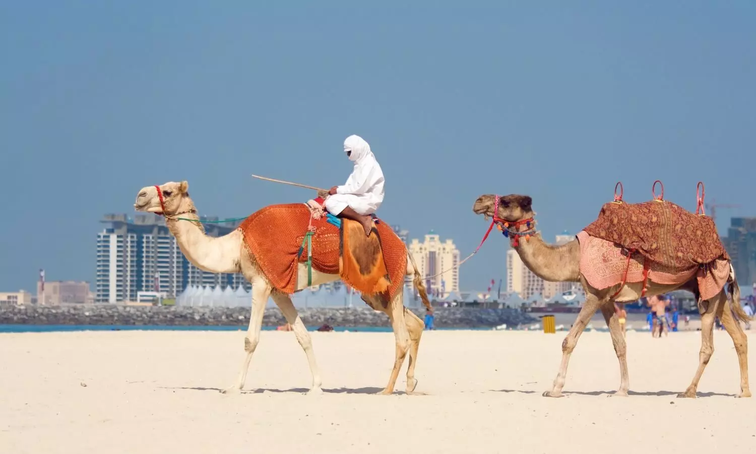 A man rides a camel through the Gulf desert.
