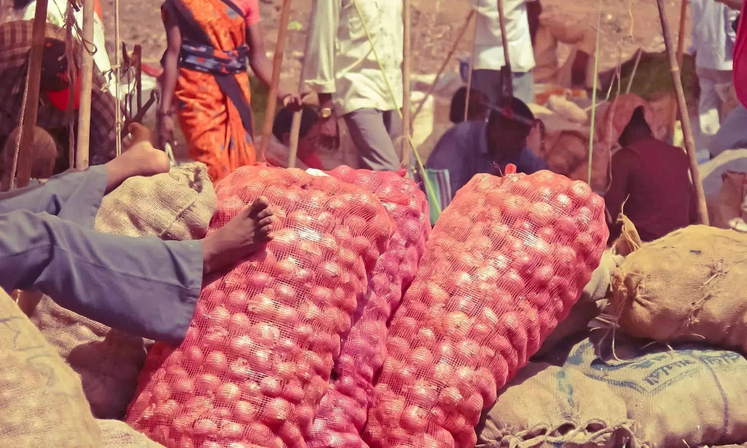 Potato sacks in a wholesale market in India