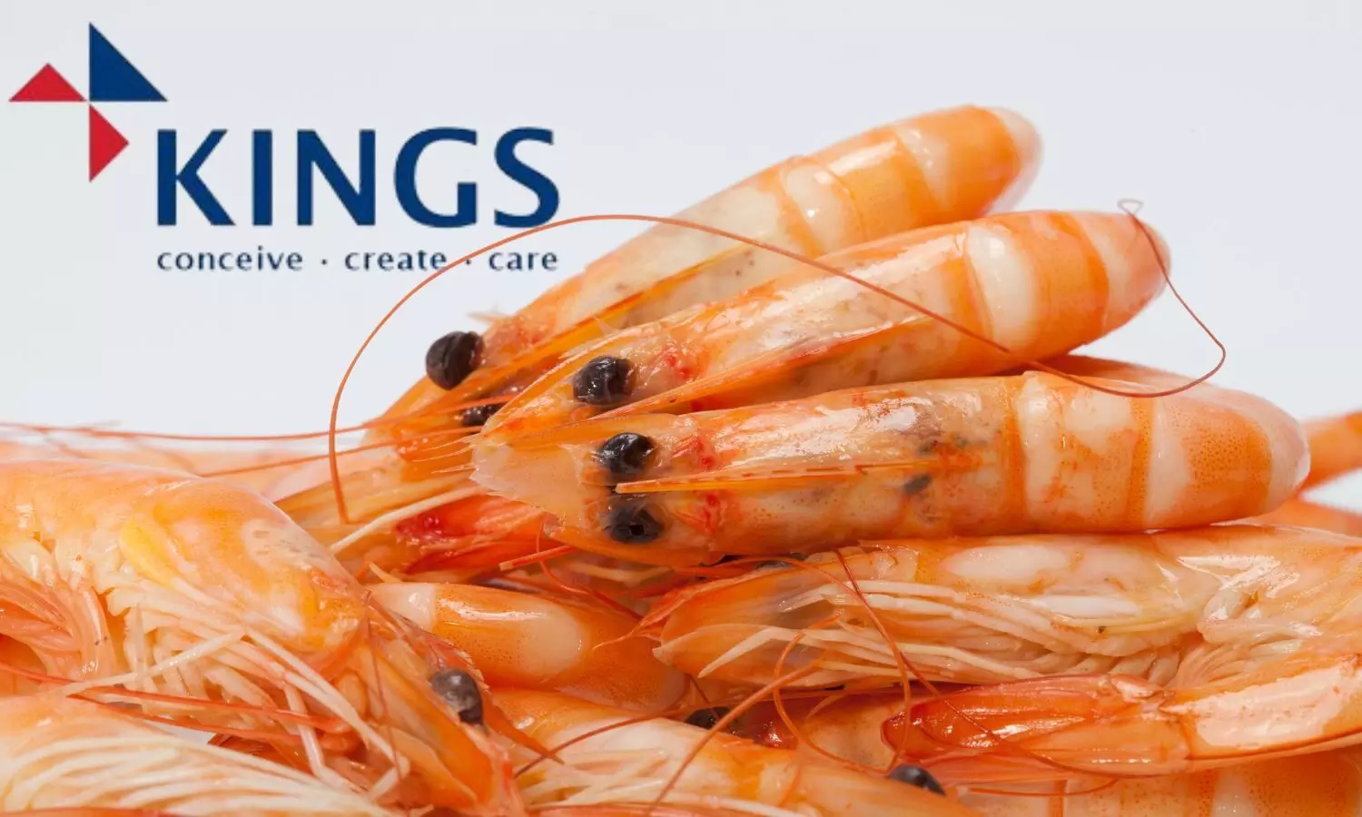 Kings Infra Logo and Shrimps