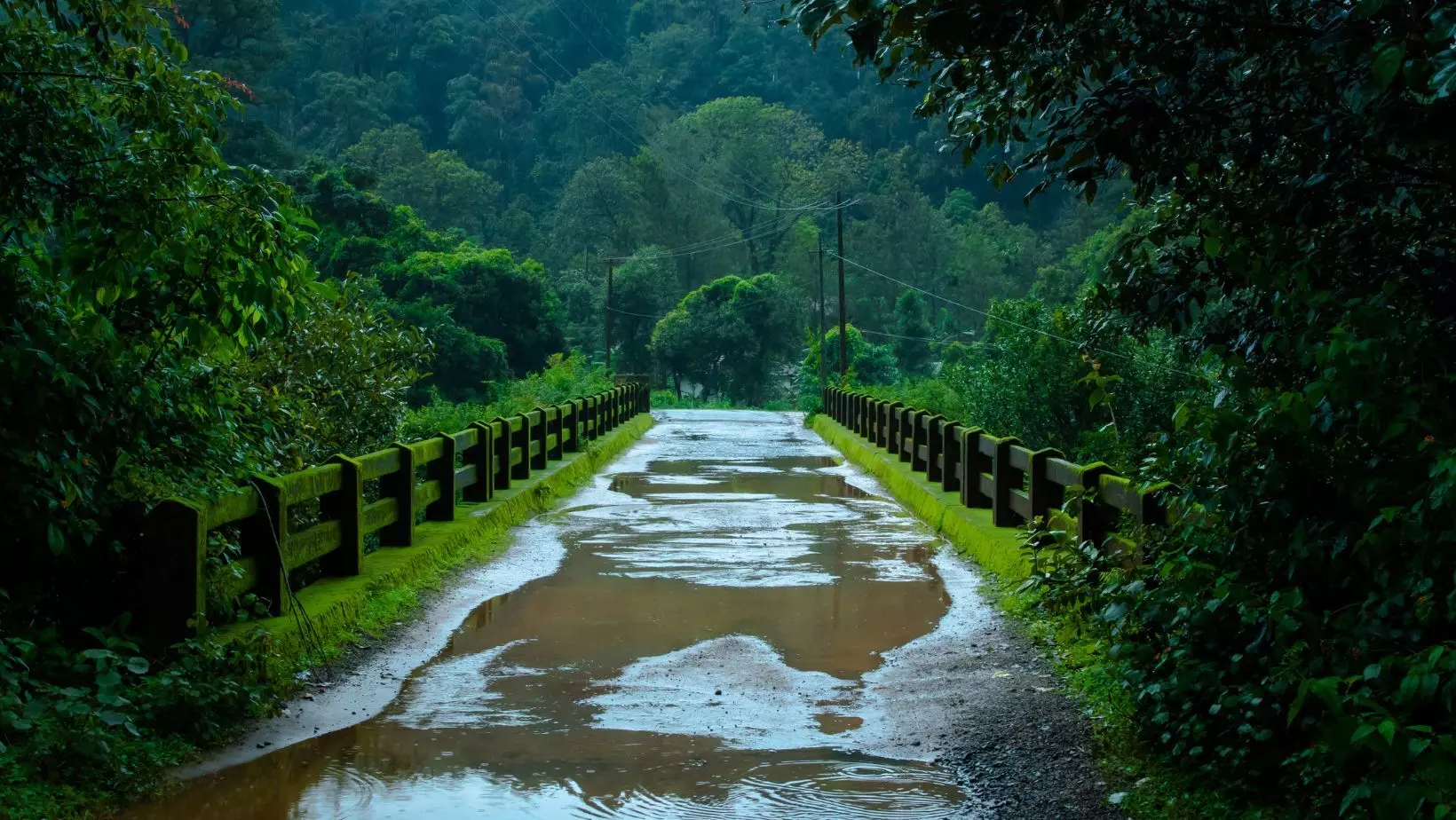 കാലവര്‍ഷം പകുതി പിന്നിട്ടപ്പോള്‍ കേരളത്തിലെ  മഴയില്‍ മൂന്നിലൊന്ന് കുറവ്