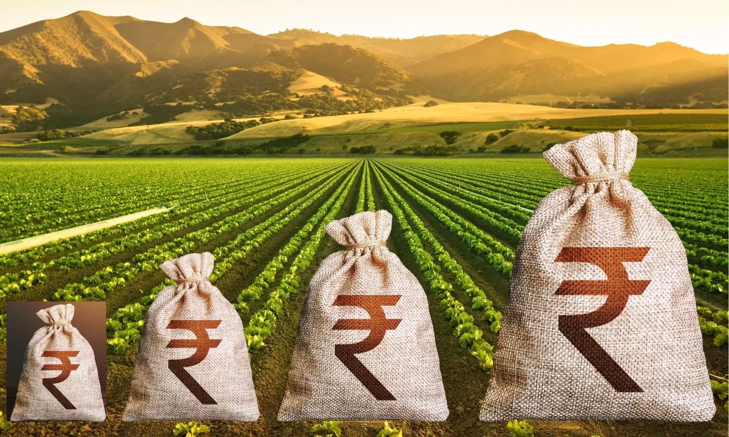 Indian Rupee sack