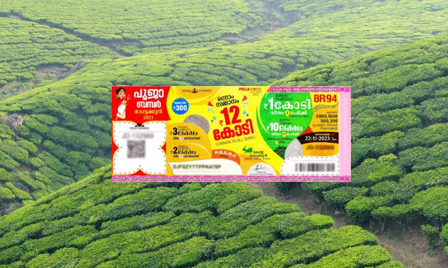 Kerala Lottery, Tea Plantation