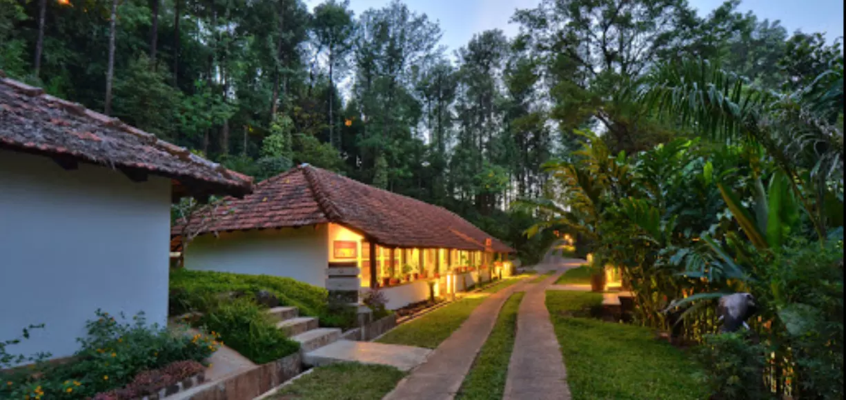 The Tamara Coorg