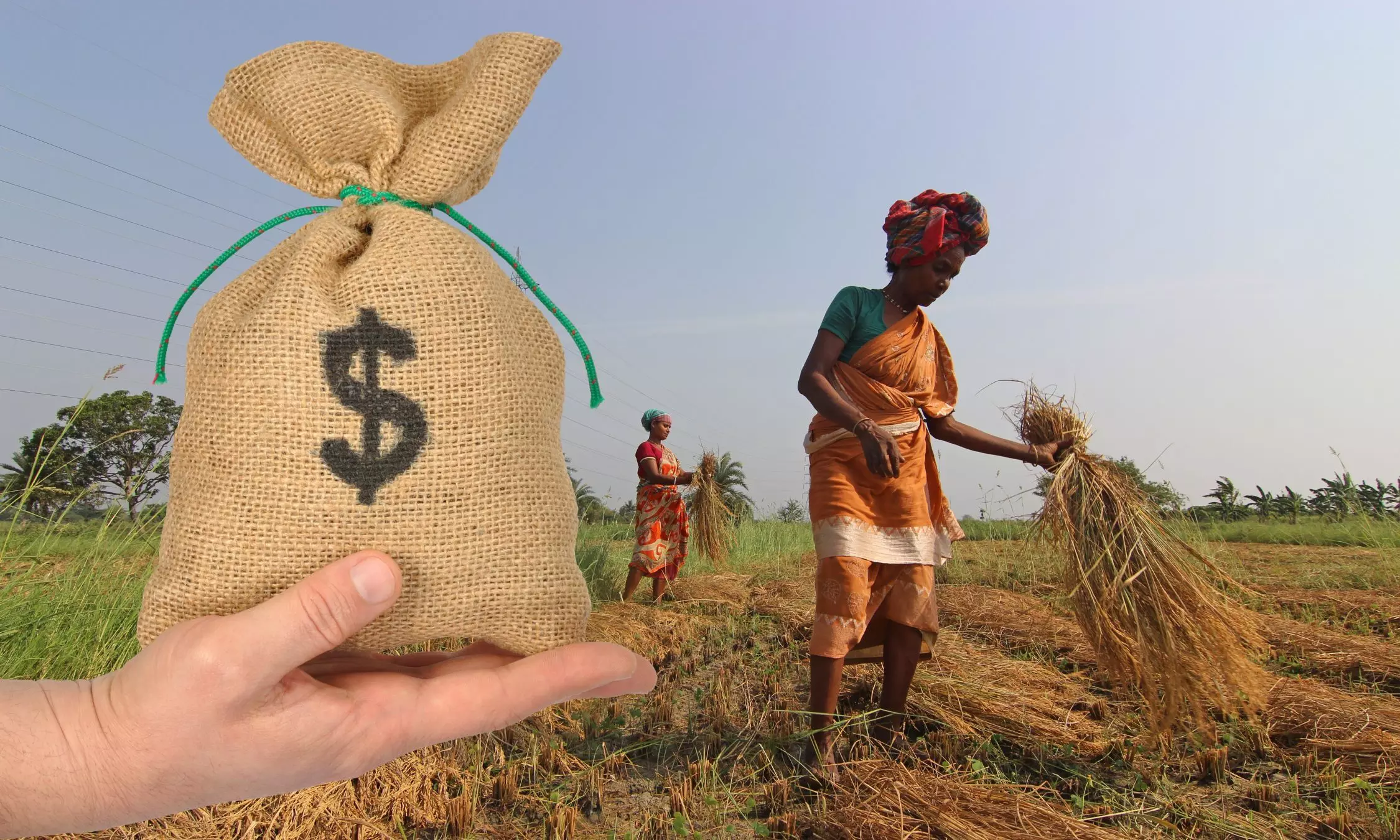 women farmers, Dollar sack in hand