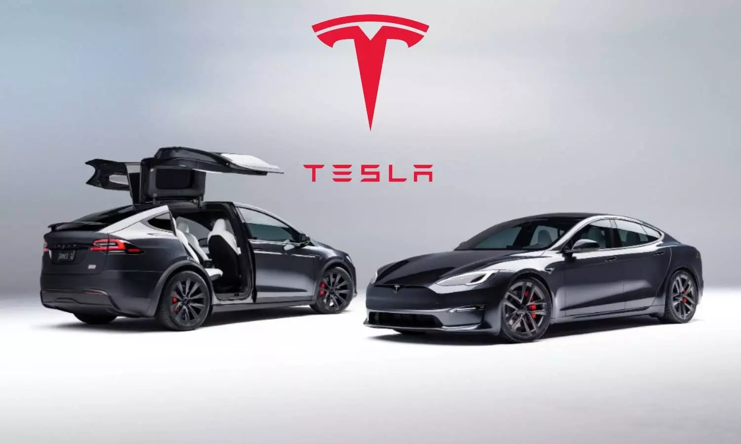 Tesla Y Model