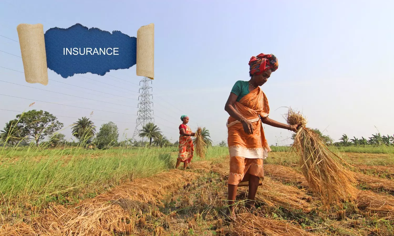 Insurance, Indian farmers