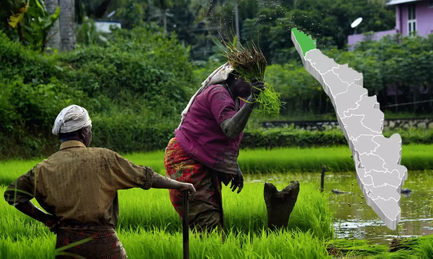 Kerala Farmers