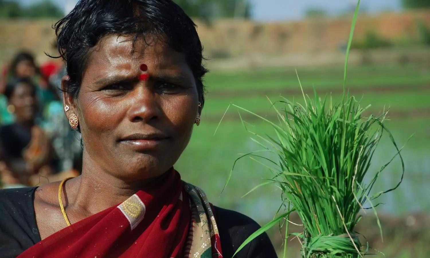 Indian farmer lady