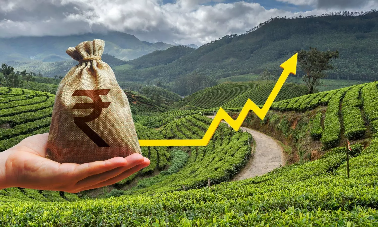 Indian Rupee sack