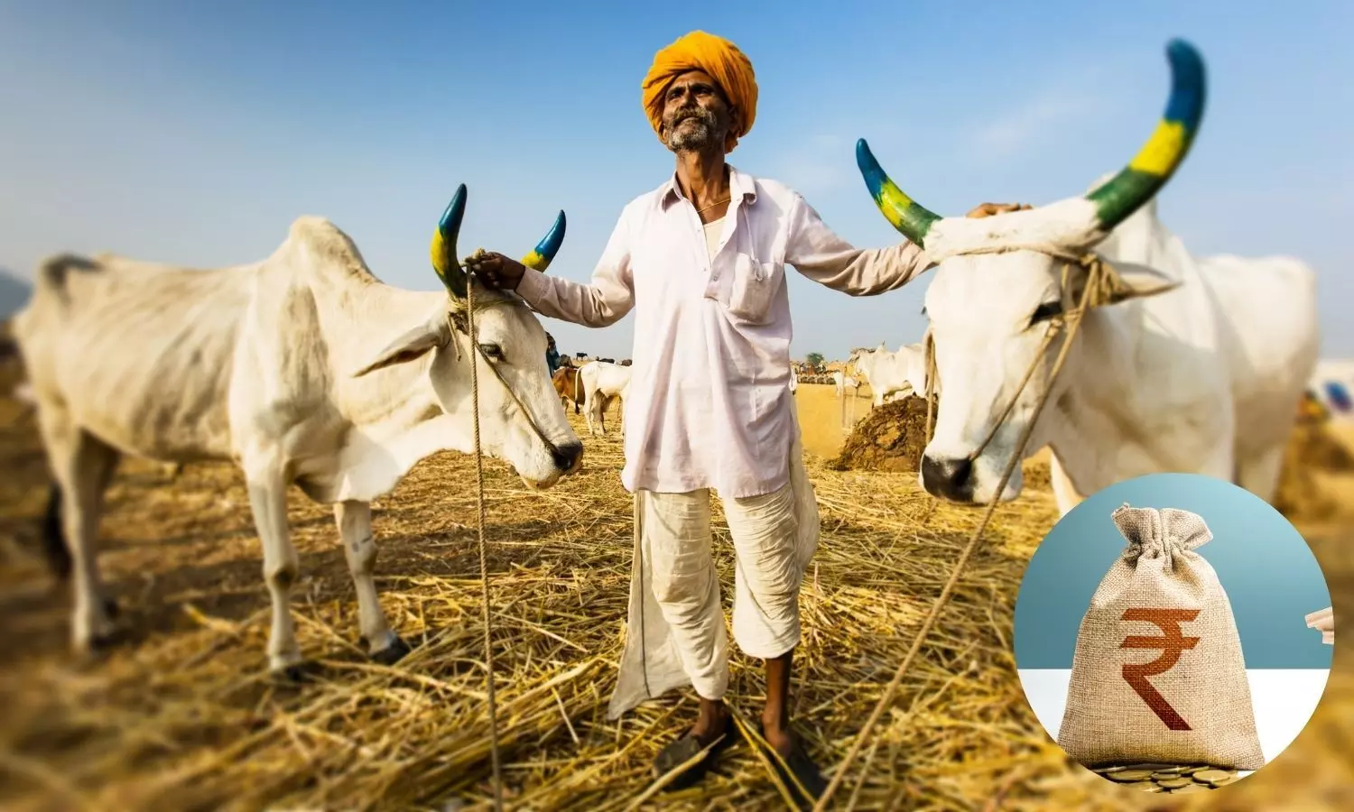 Indian farmer with his two bulls, Rupee sack