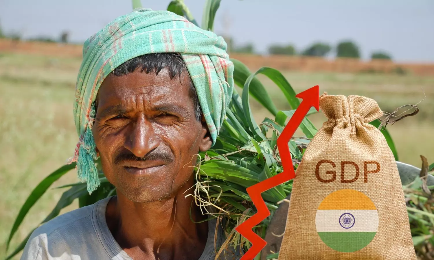Indian farmer, GDP