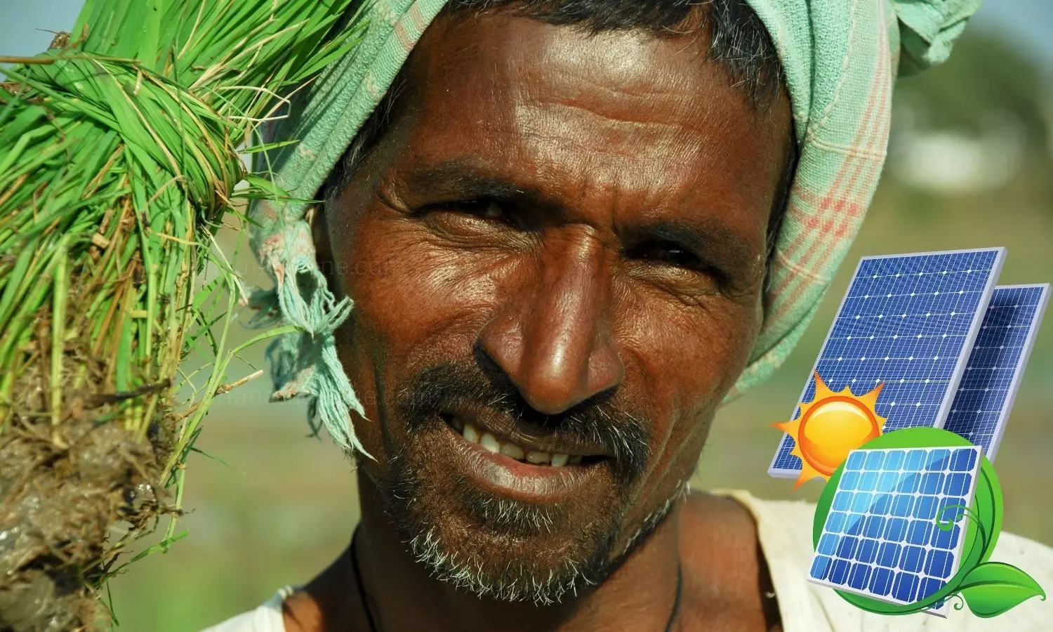 Indian farmer, solar panel