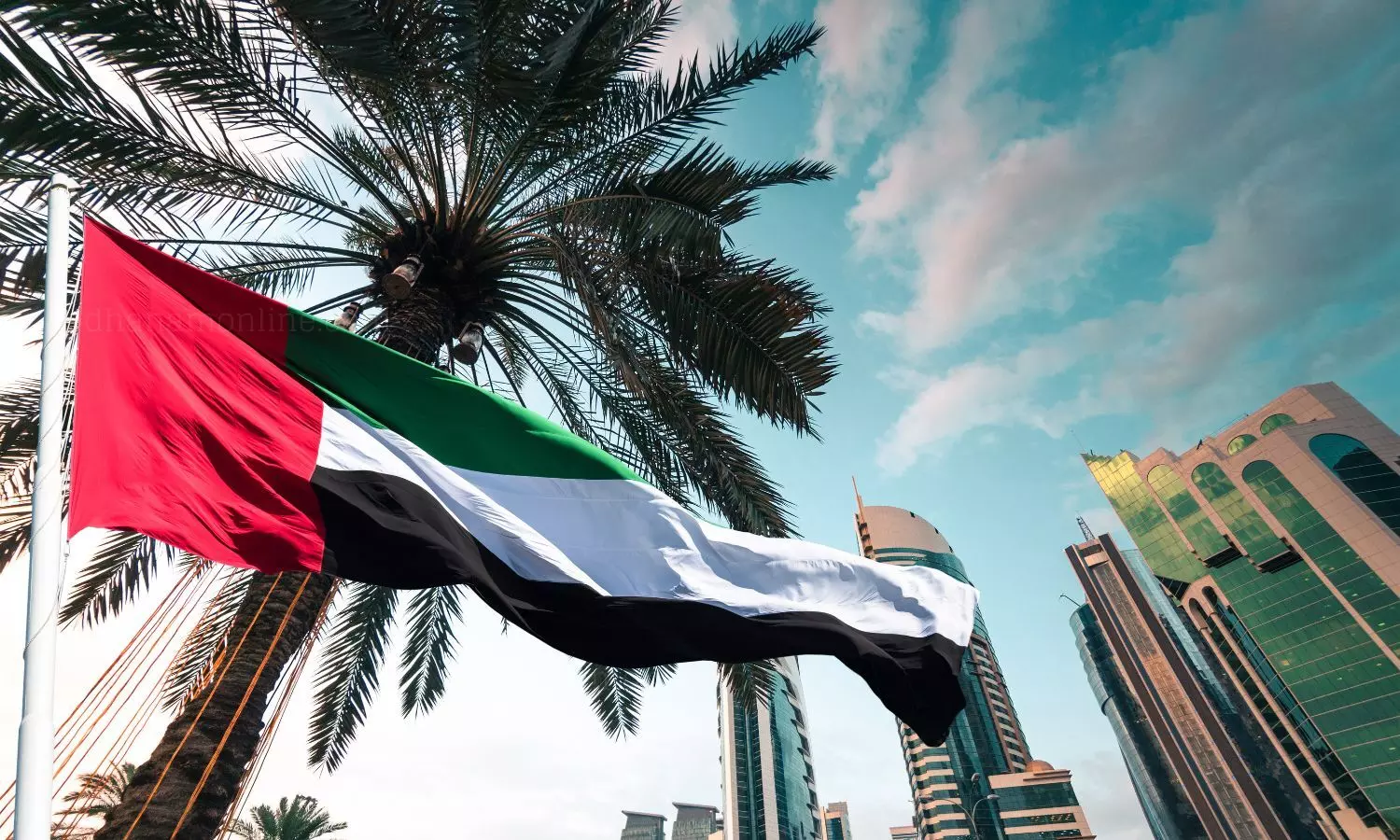 UAE Flag