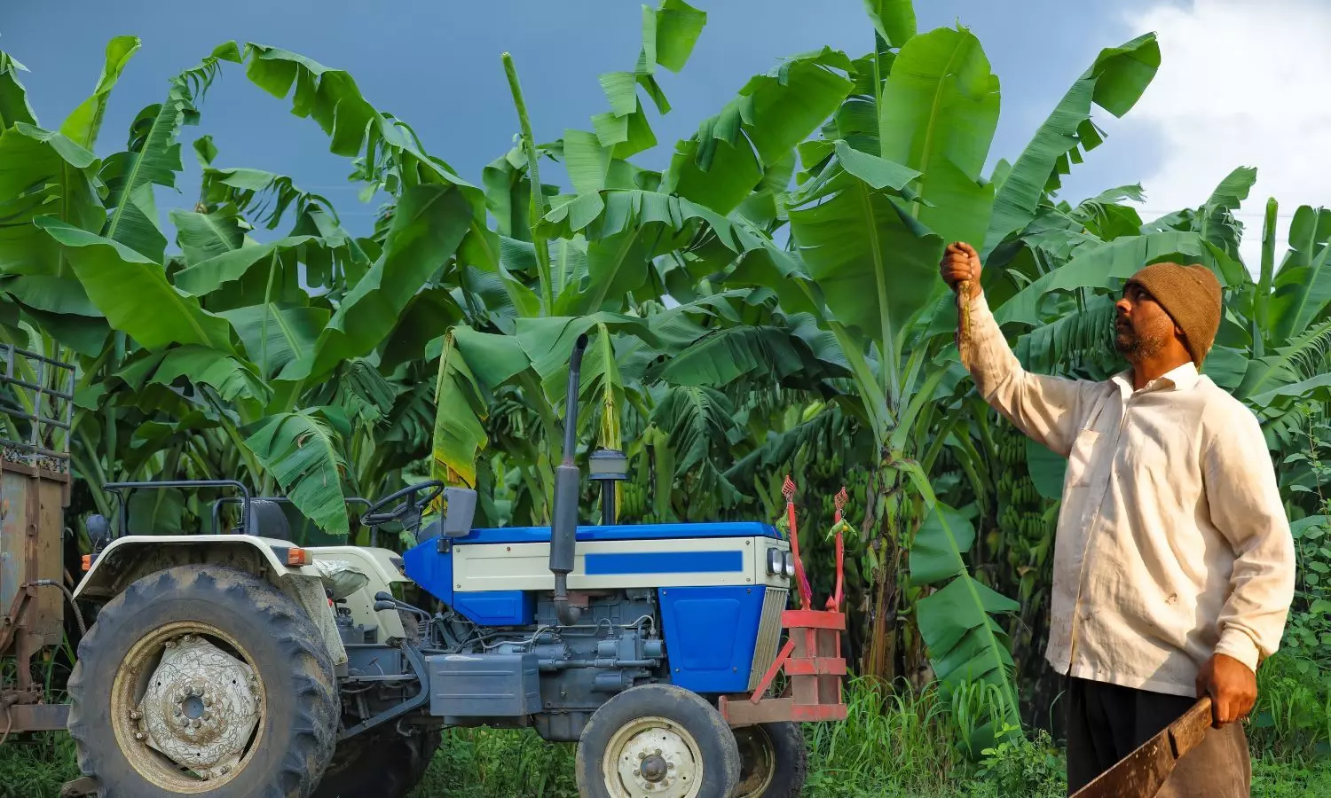 Indian Farmer