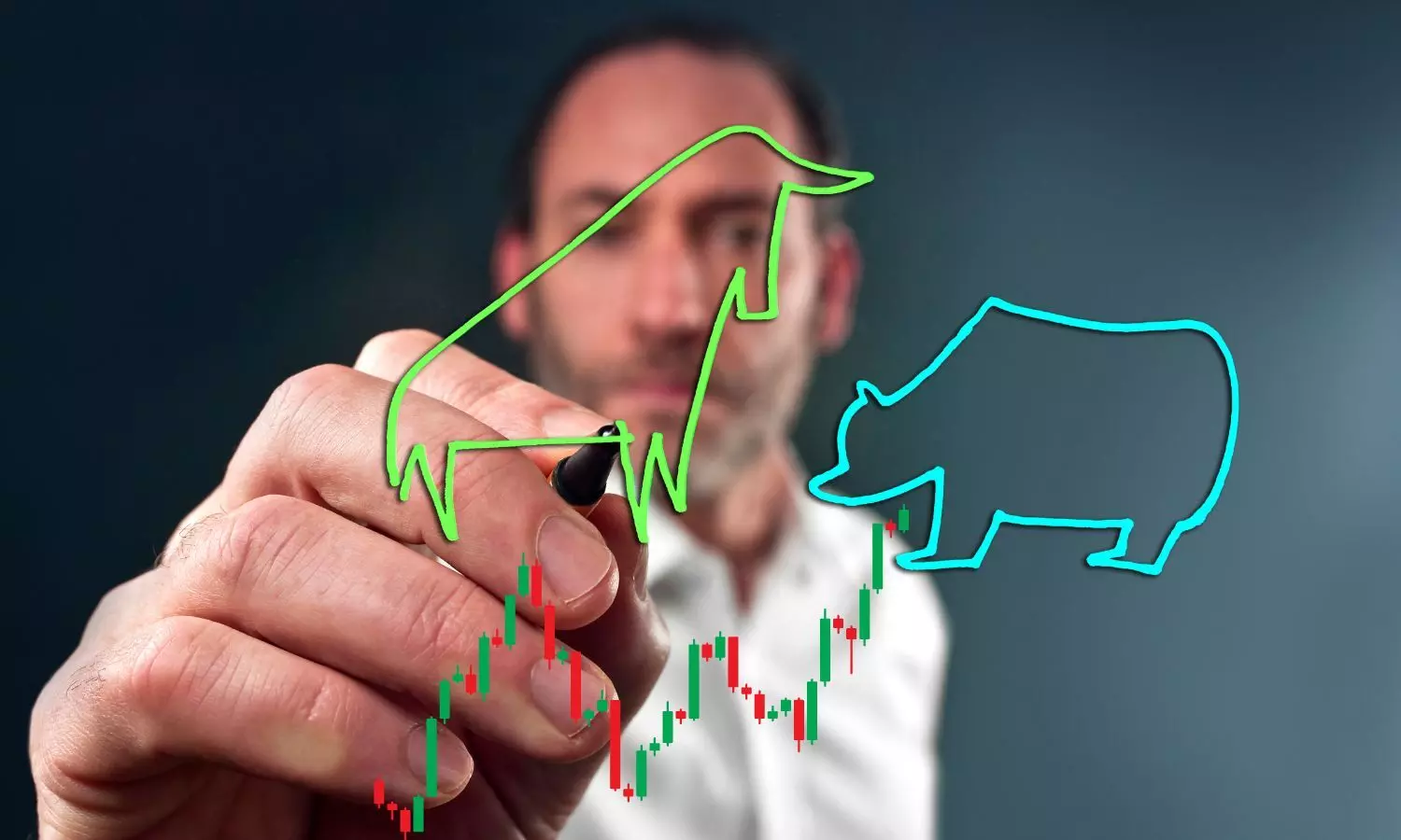 Stock market bull and bear