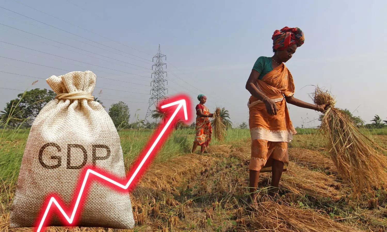 India farmers, GDP up