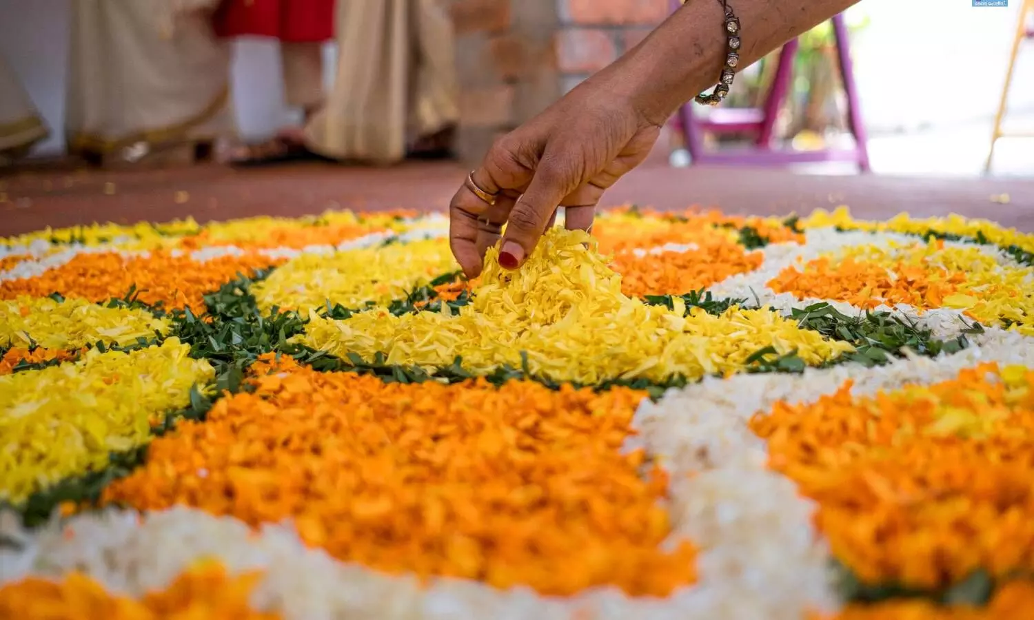 onam celebrations, onam, flower cultivation