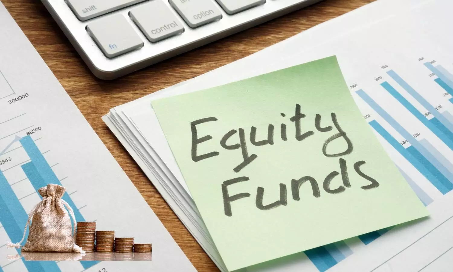 Equity fund