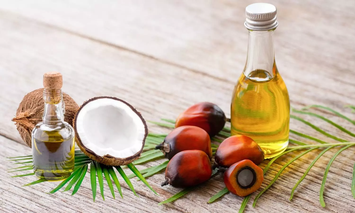 palm oil and coconut oil