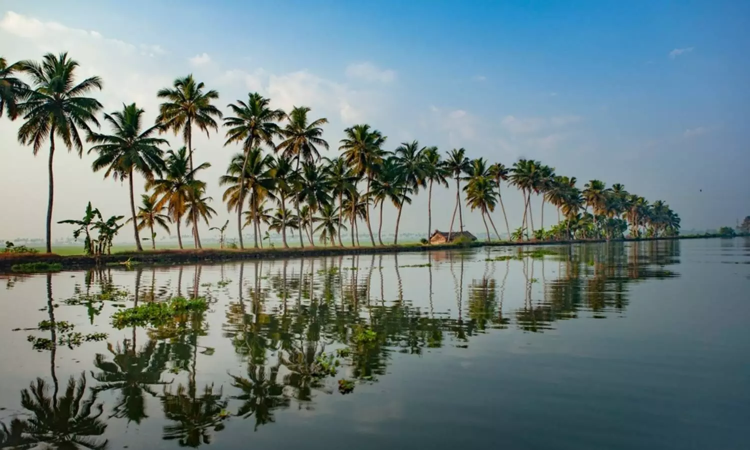 kumarakom back waters