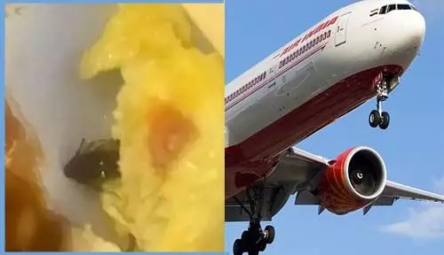 Air India inflight food