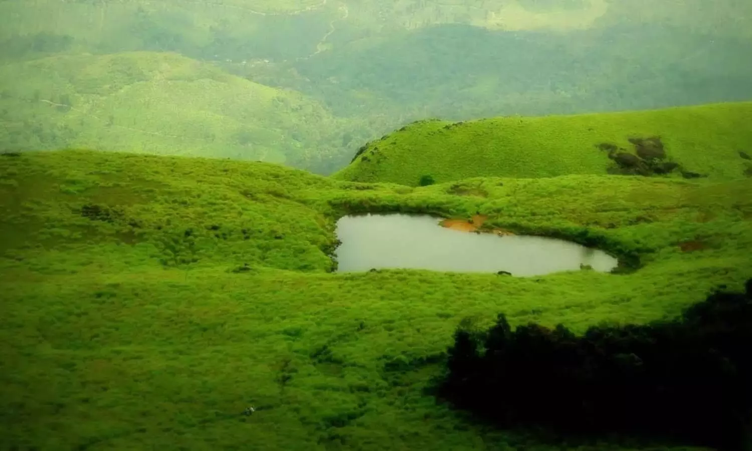 wayanad chembra peak