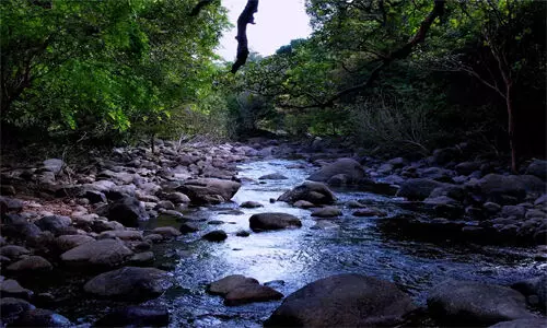 tamilnadu trekking point