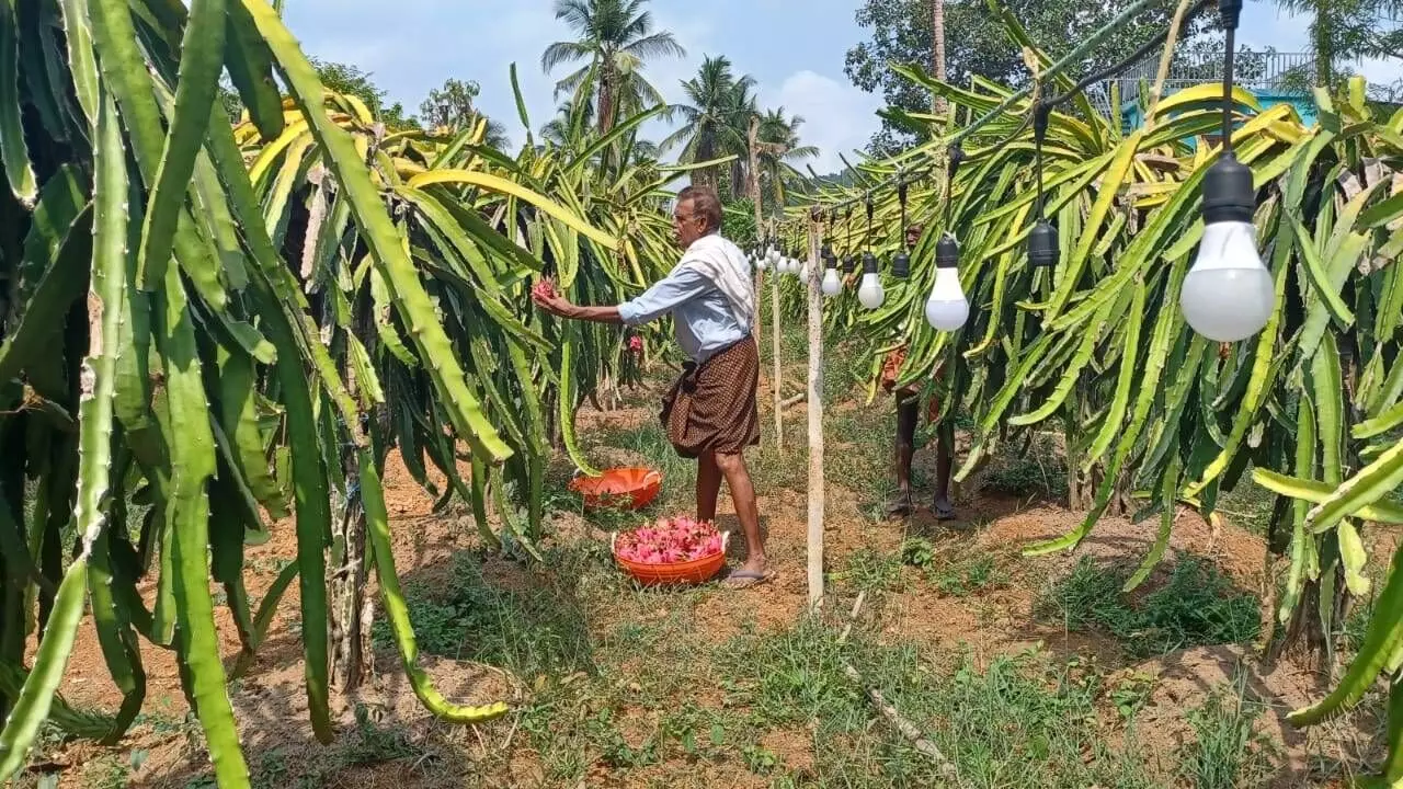 നോ റിട്ടയര്‍മെന്റ്! 82-ാം വയസില്‍ സംരംഭം, ഒരുക്കുന്നത് കേരളത്തിന്റെ ആദ്യ പ്രീമിയം വൈന്‍