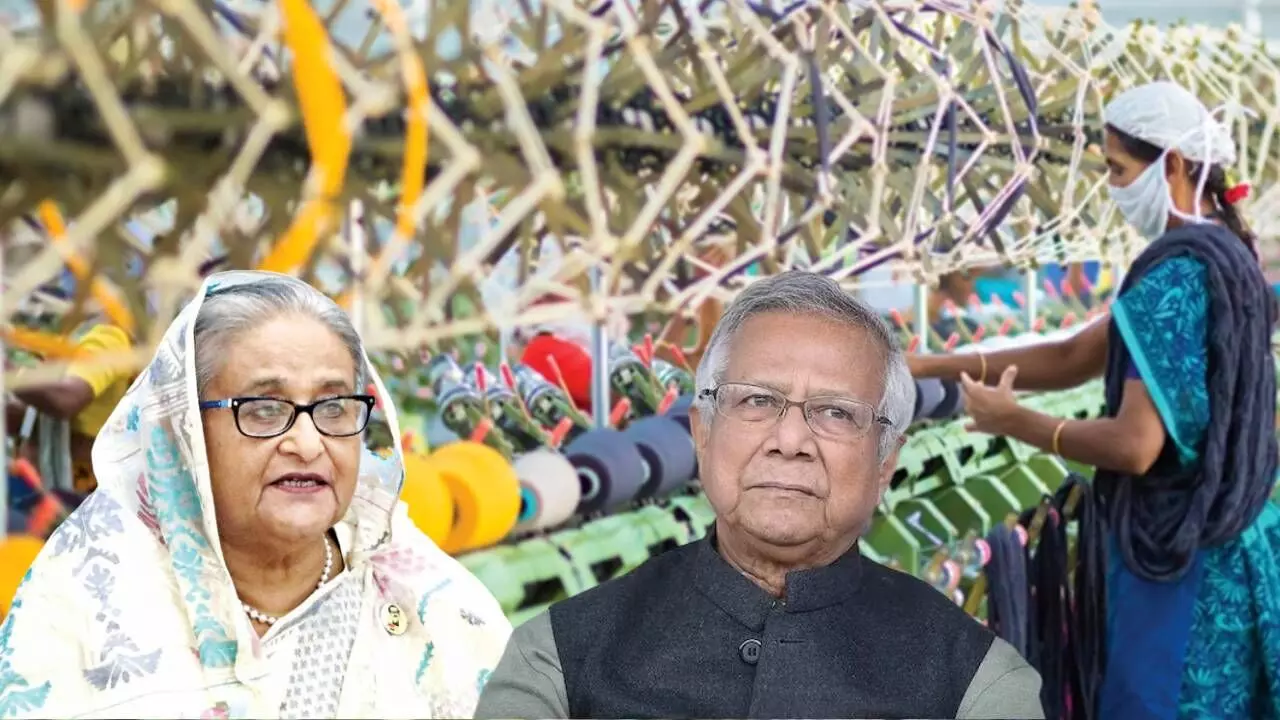 Muhammad Yunus, Sheikh Hasina